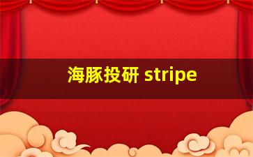 海豚投研 stripe